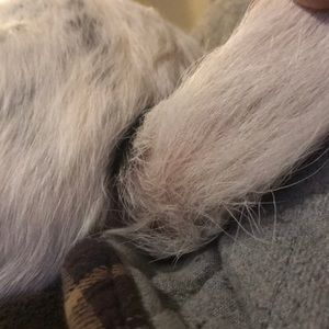 Meet your Posher, Timothy